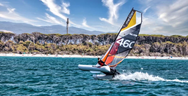 model-460-art-2022-14f09cc5 model-460-art-2022-14f09cc5