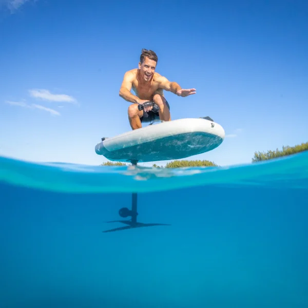 Lift Blowfish in Use Lift Blowfish in Use